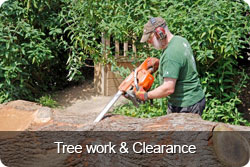 tree-work-clearance-button.jpg