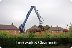 treework-clearance-button.jpg