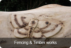 fencing-timber-works-button.jpg